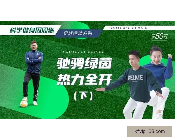 世界杯赛事投注全攻略详解助你科学分析提高中奖率